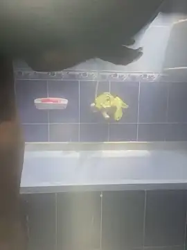 Snapshot of Arabien_Pharaoh- chatting on 02.12.25 Arabien Pharaoh- online show from 02.12.25