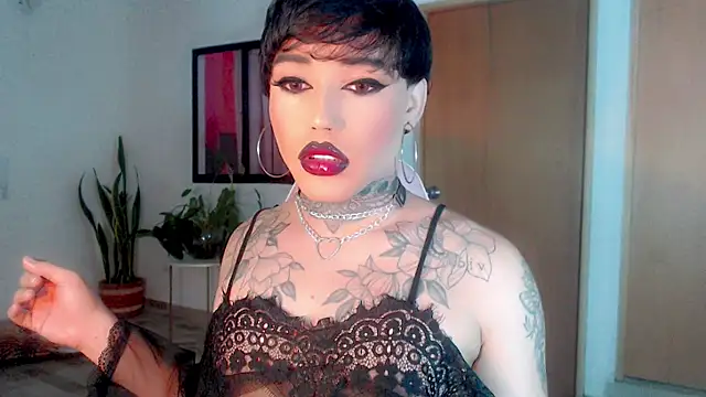 little star porn online show from 01.25.25