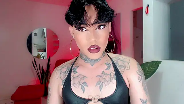 little star porn online show from 11.27.25