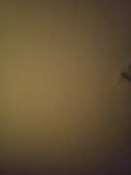 SMOKERBEASTBR online show from 02.08.26