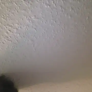 Snapshot of Zauberstab8 chatting on 10.19.25 Zauberstab8 online show from 10.19.25