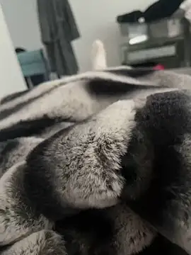 Snapshot of Furdale chatting on 12.18.24 Furdale online show from 12.18.24