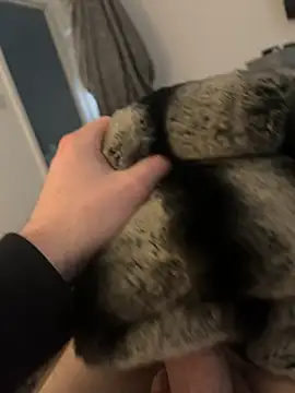 Snapshot of Furdale chatting on 02.12.25 Furdale online show from 02.12.25