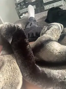 Snapshot of Furdale chatting on 02.22.25 Furdale online show from 02.22.25