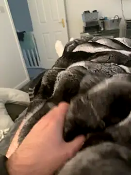 Snapshot of Furdale chatting on 09.10.25 Furdale online show from 09.10.25