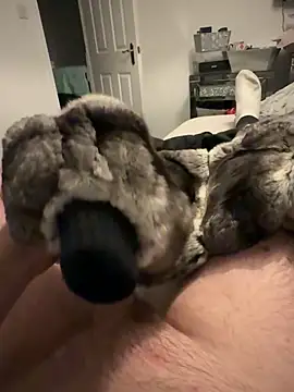 Furdale online show from 11.25.25