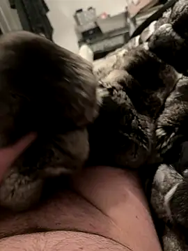 Furdale online show from 12.04.25