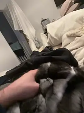 Furdale online show from 02.04.26