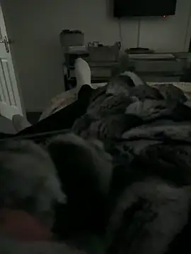 Furdale online show from 02.11.26