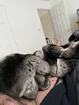 Furdale online show from 04.25.26