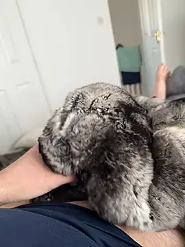 Furdale online show from 04.27.26