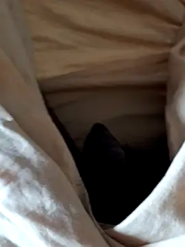 malluflash online show from 02.12.26