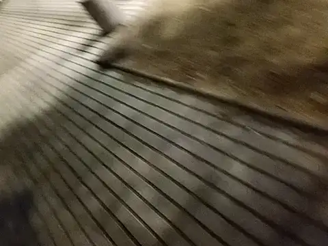 rodovlaz online show from 02.27.25