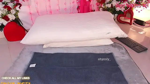 Snapshot of ohyesly_ chatting on 02.14.26 ohyesly online show from 02.14.26