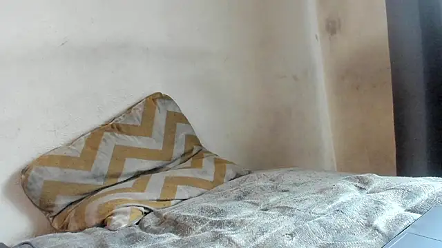 texpig online show from 03.07.26