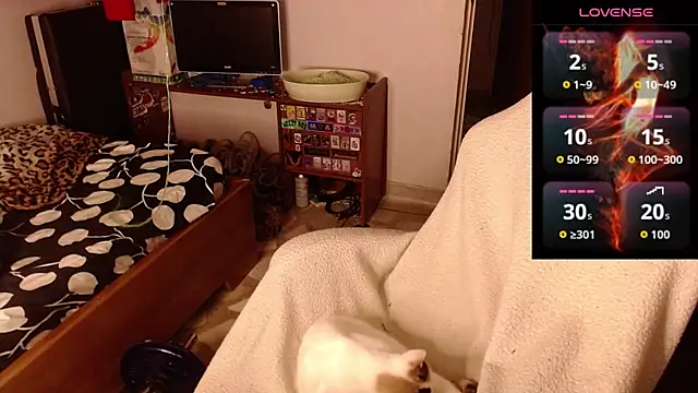 Apolo S online show from 02.14.26