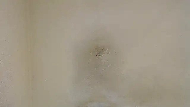 AlexNudo online show from 01.30.25