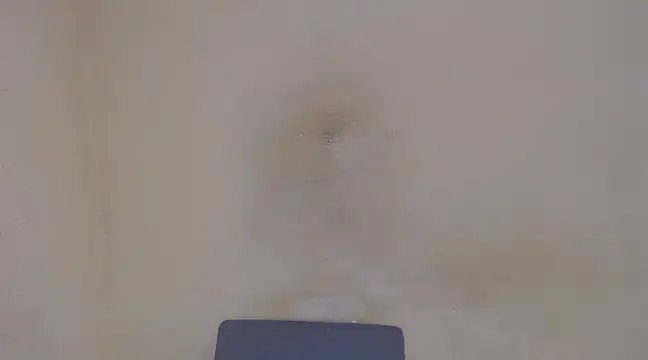 AlexNudo online show from 02.05.25