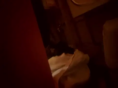 Dannadcz online show from 03.24.26