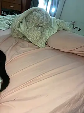 Laura takint online show from 01.09.25