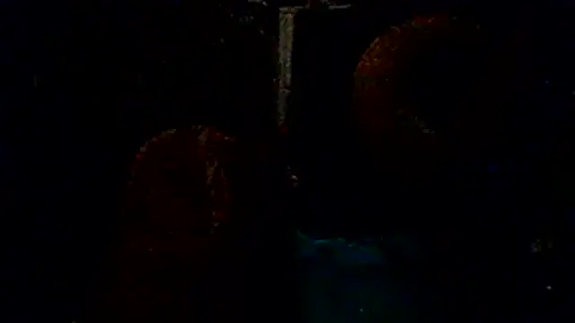 fuckineverett online show from 04.14.26