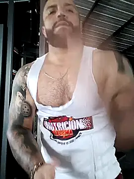 bardock 1 online show from 03.03.26