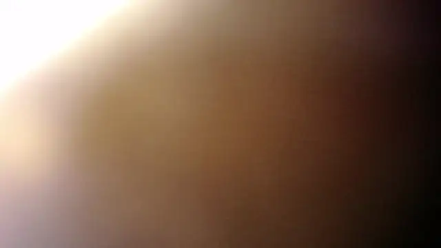 beauti wild25 online show from 02.14.25