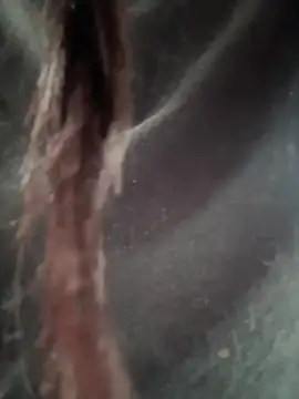   IRIS   online show from 02.14.25