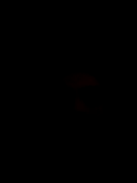 Alexanderelgrueso online show from 10.23.25