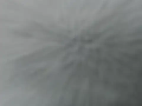 Lauren baby online show from 12.16.25