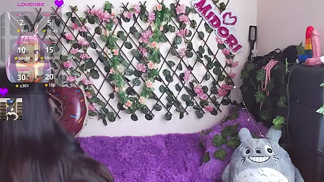 Snapshot of MidoriQuiinn chatting on 01.28.25 MidoriQuiinn online show from 01.28.25