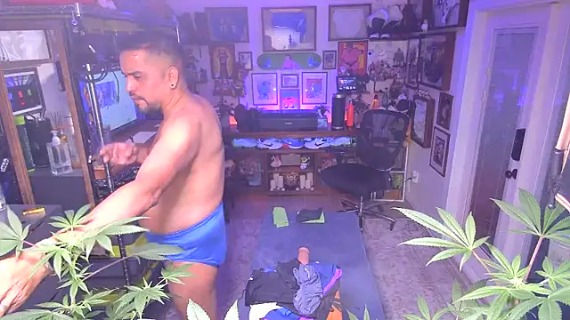 Briefs bud online show from 12.16.24