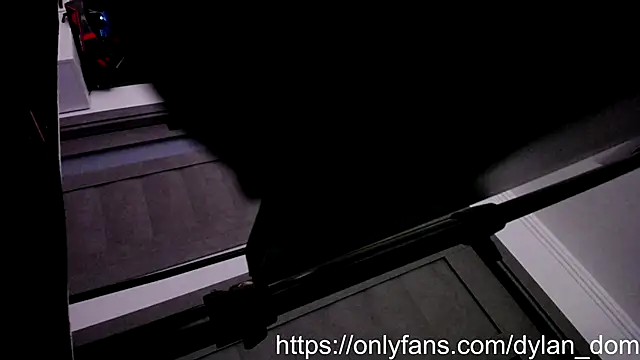 Snapshot of dyllan_dom_ chatting on 10.25.25 dyllan dom  online show from 10.25.25