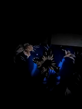 vansh1802 online show from 01.29.25