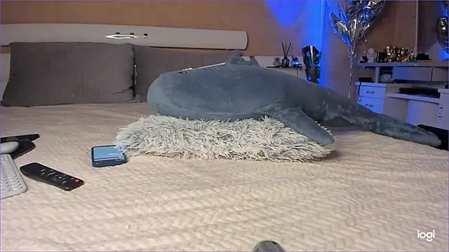 Diamond D  online show from 10.16.25