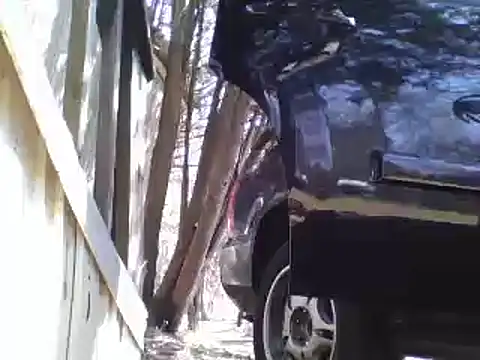 Yankeedave420 online show from 04.13.26