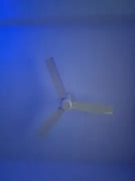 monabhabi22 online show from 02.24.25