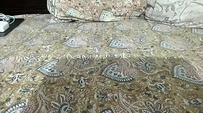 Snapshot of Greekartsguru chatting on 01.12.25 Greekartsguru online show from 01.12.25