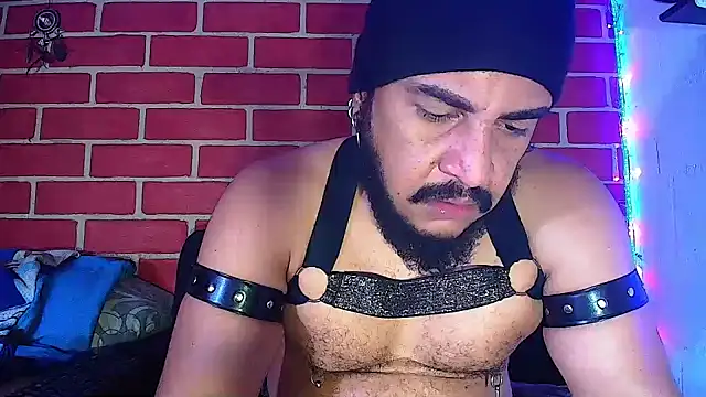 the master foal  online show from 01.16.25