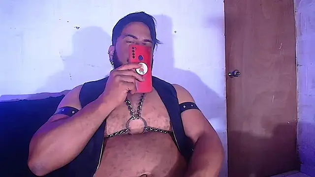 the master foal  online show from 02.08.25