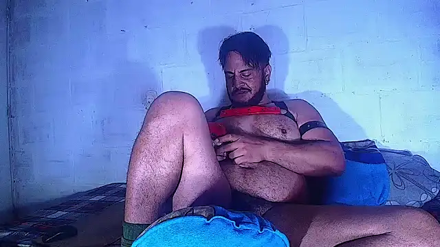 the master foal  online show from 03.12.25