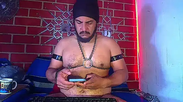 the master foal  online show from 03.19.25