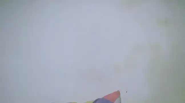 h0ney lips online show from 01.28.25