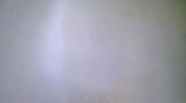 h0ney lips online show from 02.23.25