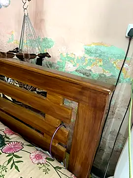 falooda288 online show from 10.28.25