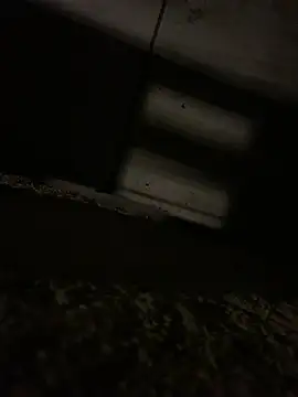 JotaCe2022 online show from 04.23.26