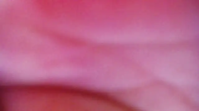 JessikaDaniel online show from 04.16.26