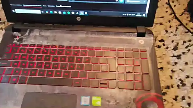 made in brazil online show from 01.11.26