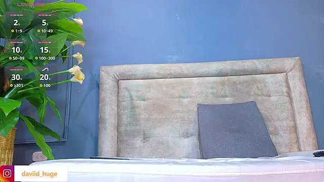 nicol snow online show from 01.12.26