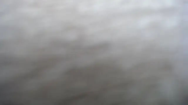 DAPHNE doll online show from 09.15.25